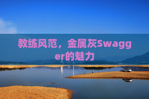 教练风范，金属灰Swagger的魅力